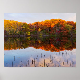 marthaler park autumn and pond reflections poster