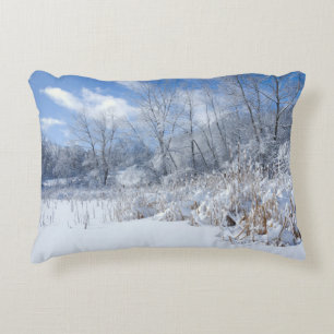 Marthaler Park Frozen Pond and Trees Decorative Cushion