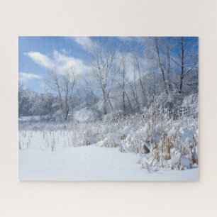 Marthaler Park Frozen Pond and Trees Jigsaw Puzzle