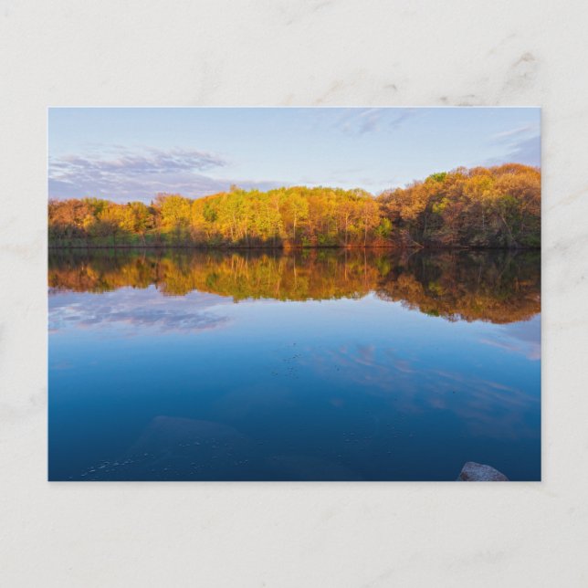 Marthaler park woodlands and pond spring sunrise postcard (Front)