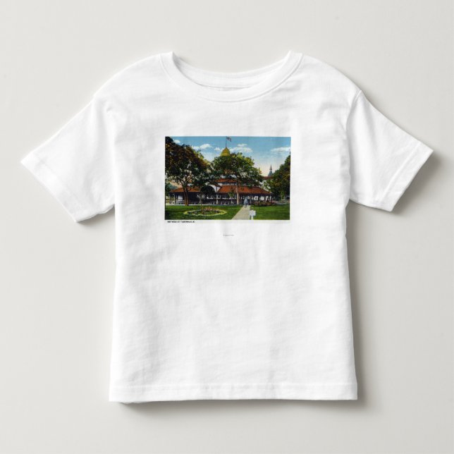 Martha's Vineyard, View of Methodist Toddler T-Shirt (Front)