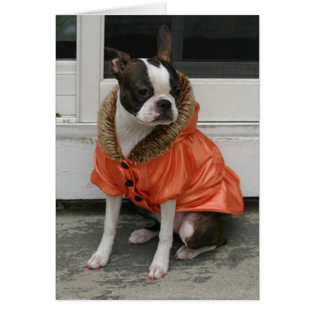 Martha's winter coat (Front)