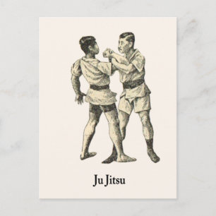 Martial Arts Ju jitsu 14 Postcard