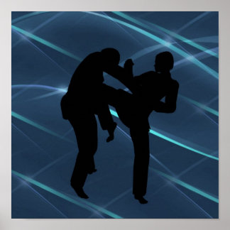 Martial Arts  Posters