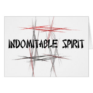 Martial Arts Tenets Indomitable Spirit
