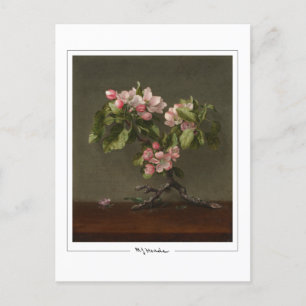 Martin Johnson Heade #26 - Fine Art Postcard