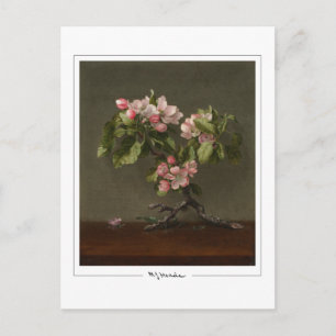 Martin Johnson Heade #26 - Fine Art Postcard