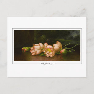 Martin Johnson Heade #34 - Fine Art Postcard