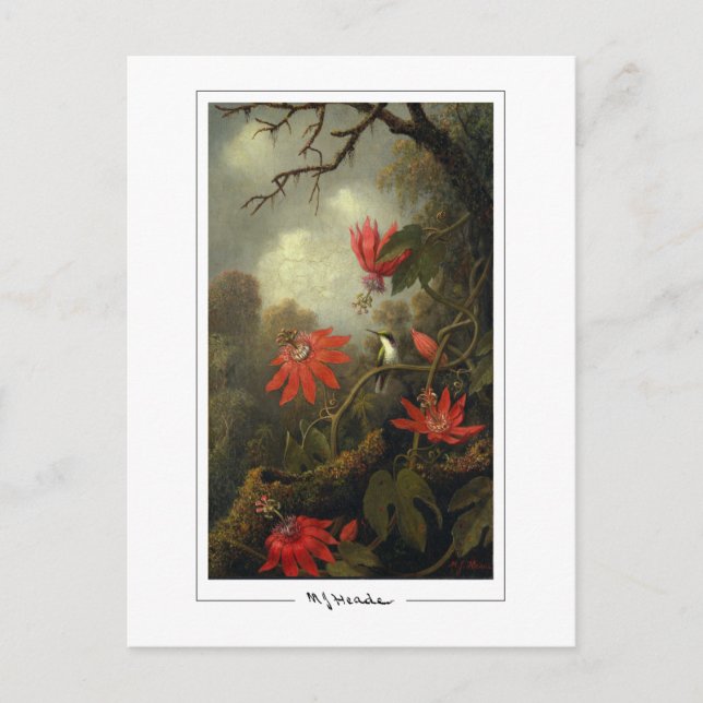 Martin Johnson Heade #36 - Fine Art Postcard (Front)