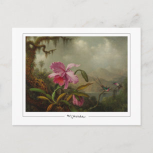 Martin Johnson Heade #51 - Fine Art Postcard