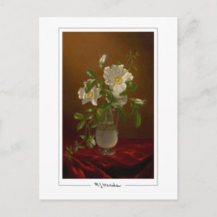 Martin Johnson Heade #5 - Fine Art Postcard
