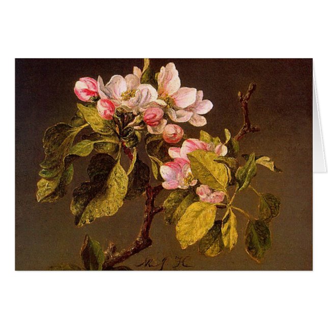 Martin Johnson Heade - Apple Blossoms (Front Horizontal)