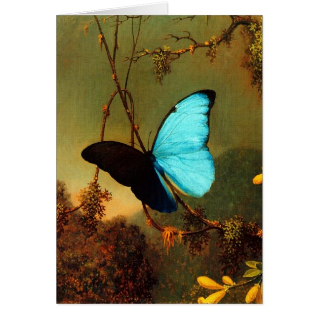 Martin Johnson Heade Blue Morpho Butterfly (Front)