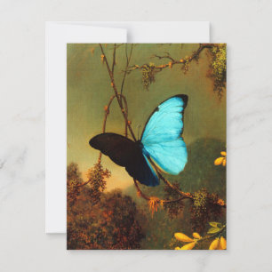 Martin Johnson Heade Blue Morpho Butterfly