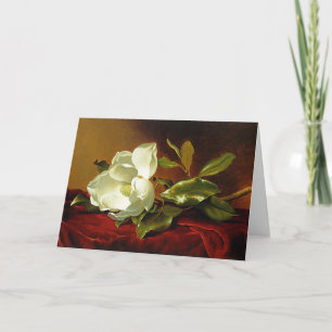 Martin Johnson Heade - Magnolia on Red Velvet Card
