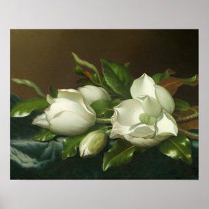 Martin Johnson Heade - Magnolias on Light Blue Poster