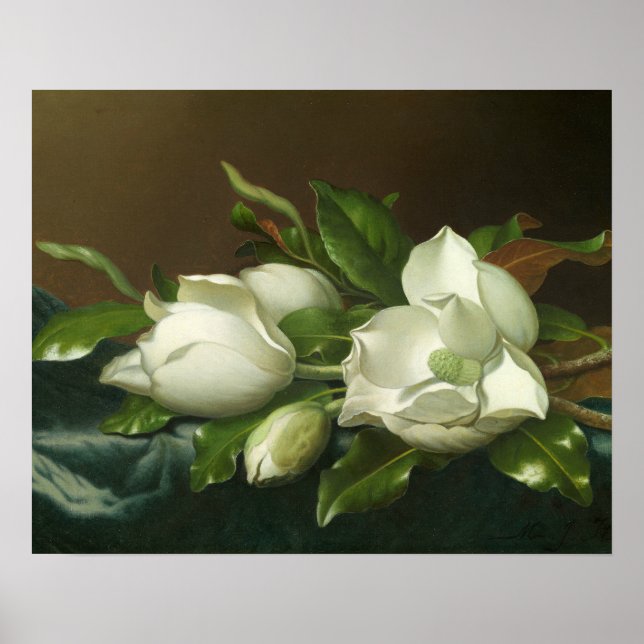 Martin Johnson Heade - Magnolias on Light Blue Poster (Front)