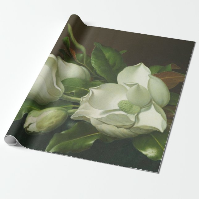 Martin Johnson Heade - Magnolias Wrapping Paper (Unrolled)