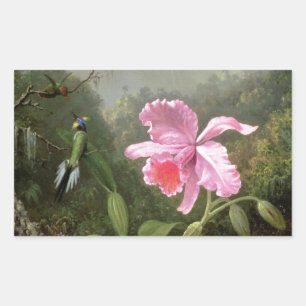 Martin Johnson Heade Orchid And Hummingbirds Rectangular Sticker