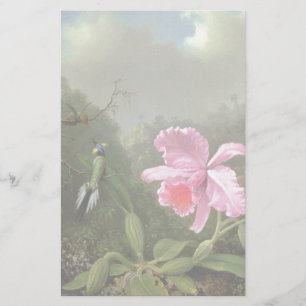 Martin Johnson Heade Orchid And Hummingbirds Stationery