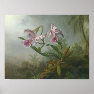 Martin Johnson Heade_Orchid-hummingbird Poster