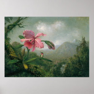 Martin Johnson Heade – Orchid with Two Hummingbird Poster