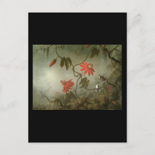 Martin Johnson Heade Passion Flowers and Hummingbi Postcard