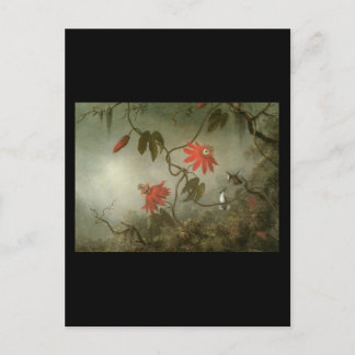 Martin Johnson Heade Passion Flowers and Hummingbi Postcard