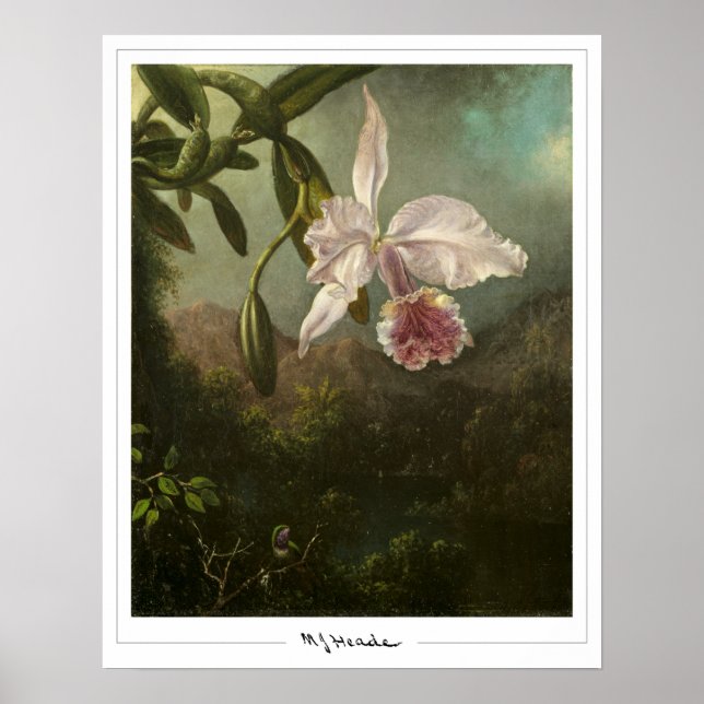 Martin Johnson Heade Zedign Art Poster #2 (Front)