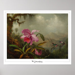 Martin Johnson Heade Zedign Art Poster #51
