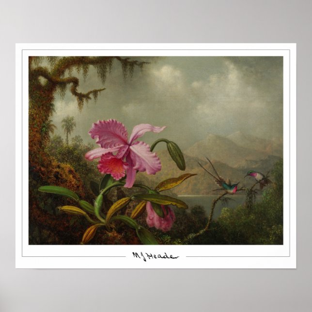 Martin Johnson Heade Zedign Art Poster #51 (Front)