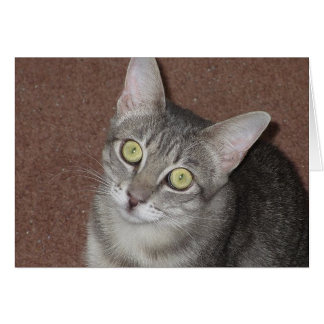 Martini (Front Horizontal)