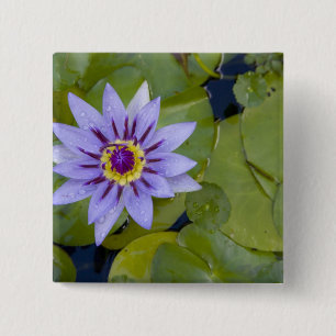 Martinique, French Antilles, West Indies, Blue 15 Cm Square Badge