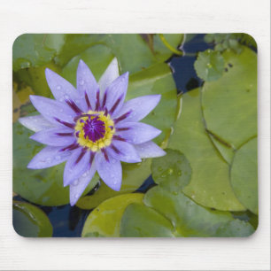 Martinique, French Antilles, West Indies, Blue Mouse Pad