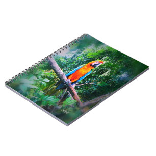 Martinique Macaw Notebook