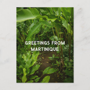 Martinique tropical garden,  travel postcard