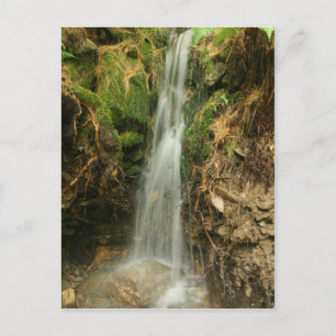 Martin's Brook Road Postcard