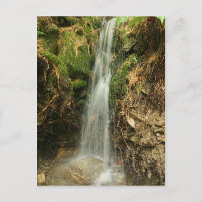 Martin's Brook Road Postcard (Front)