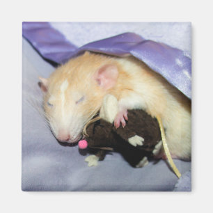 Marty and Teddy Magnet