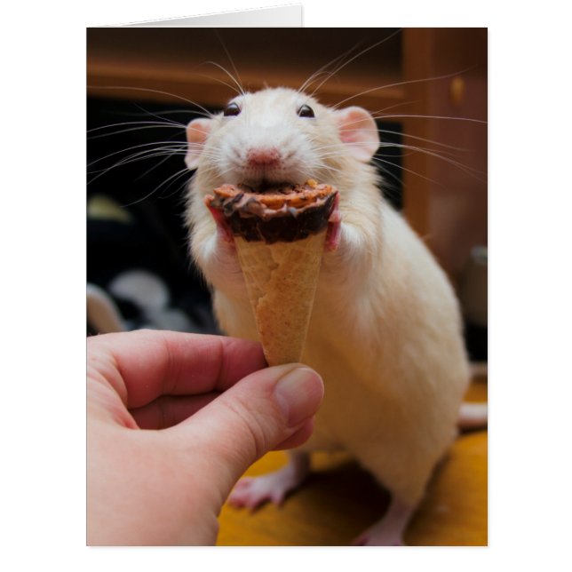Marty Eating Ice Cream (Front)