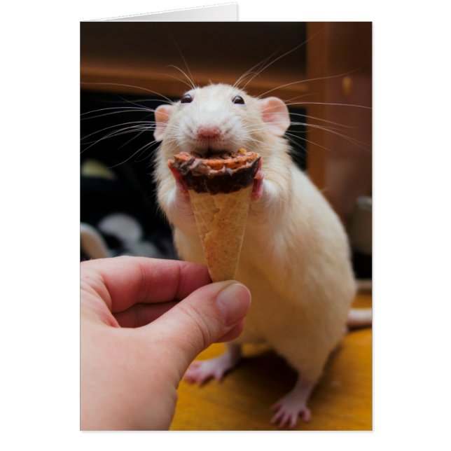 Marty Eating Ice Cream (Front)