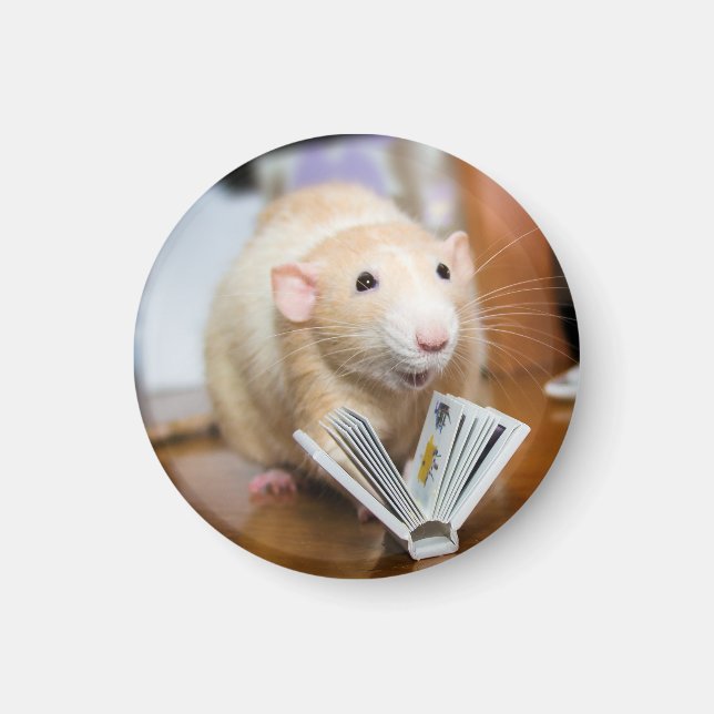 Marty Mouse Loves to Read Magnet (Front)