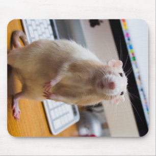 Marty Mouse Mousepad - Computer Mouse