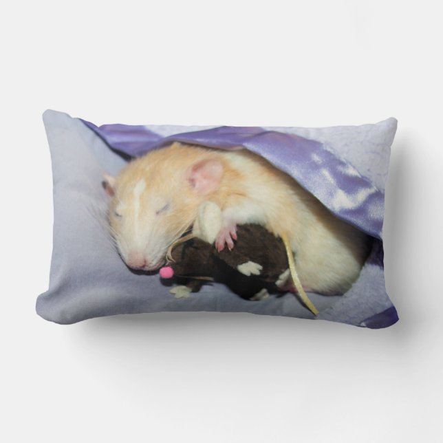 Marty Sleeping with RatTeddy 16x16 Pillow (Front)