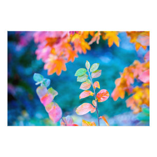 Marvellous Cotoneaster Leaves Photo Print