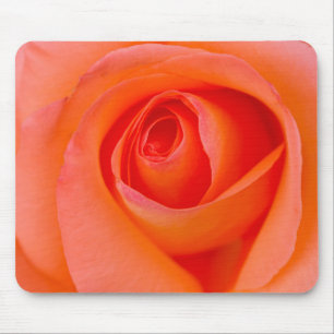 Marvellous Orange Rose Bud Mouse Pad