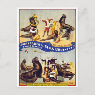 Marvellously Trained Circus Seals, 1899 Postcard
