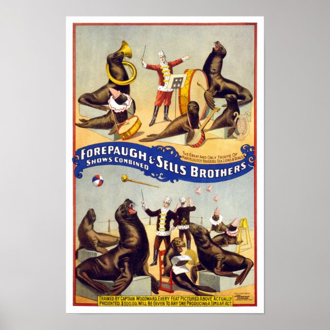 Marvellously Trained Circus Seals, 1899. Vintage Poster (Front)