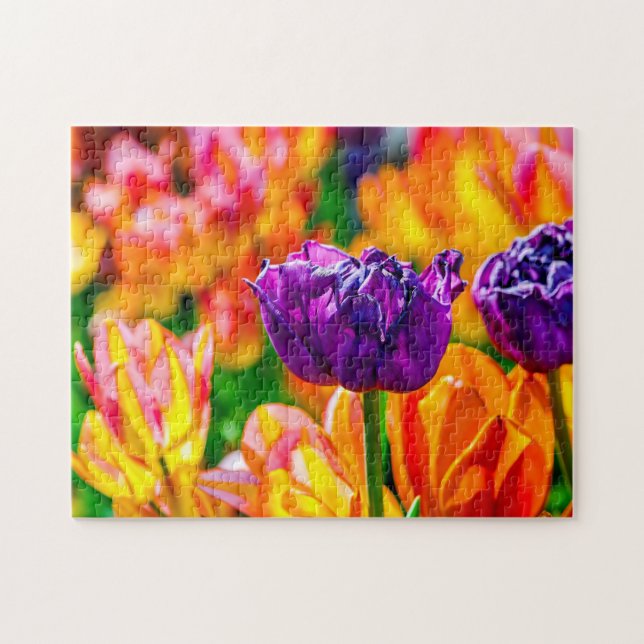 Marvelous Tulip Flowers On A Flowerbed In Spring Jigsaw Puzzle (Horizontal)