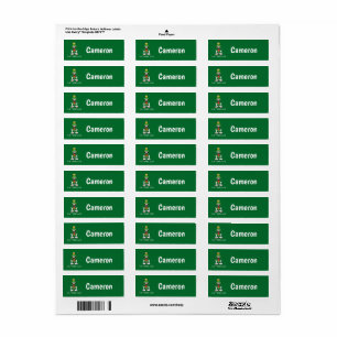 MARVIN THE MARTIAN™ Arms Open Return Address Label